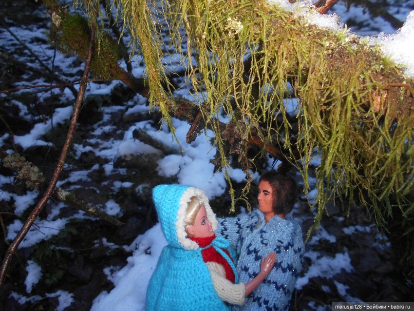 О грибочках и не только — Аналоги Барби и куклы 1/6: клоны 90