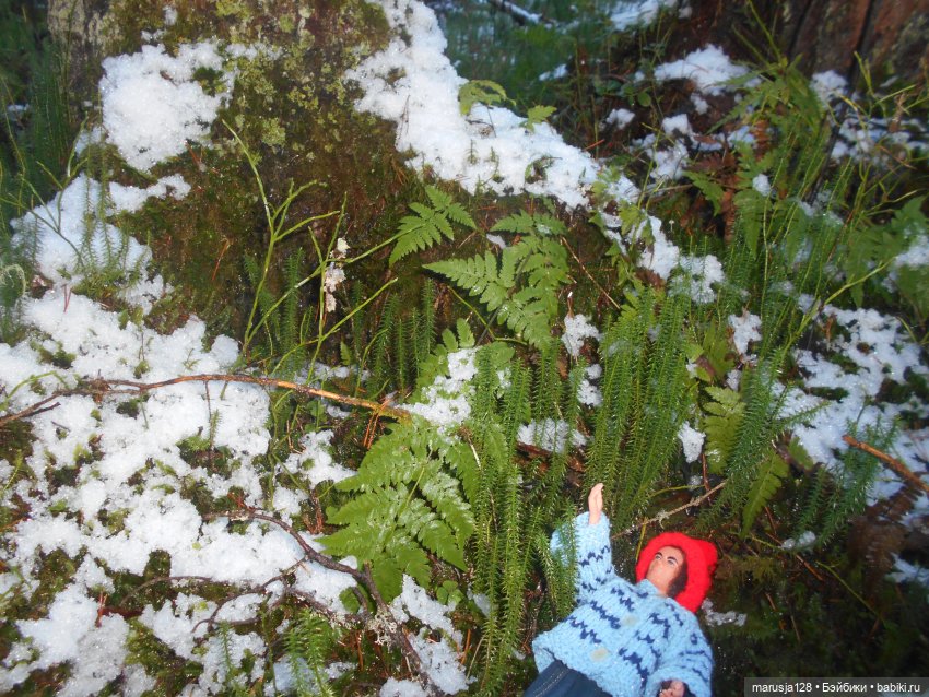 О грибочках и не только — Аналоги Барби и куклы 1/6: клоны 90