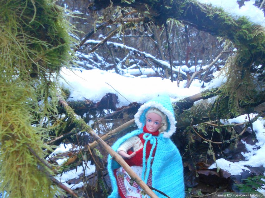 О грибочках и не только — Аналоги Барби и куклы 1/6: клоны 90