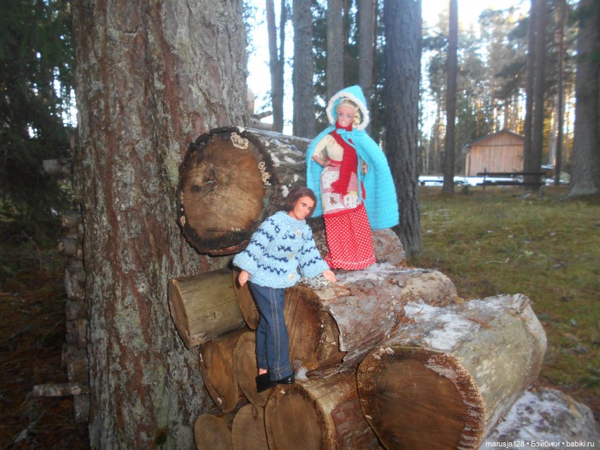 О грибочках и не только — Аналоги Барби и куклы 1/6: клоны 90