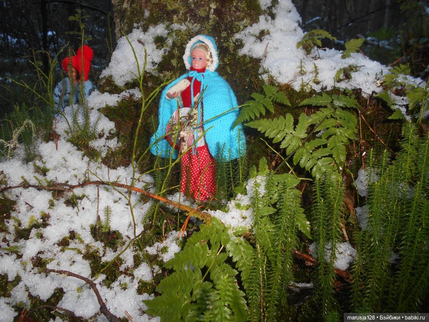 О грибочках и не только — Аналоги Барби и куклы 1/6: клоны 90