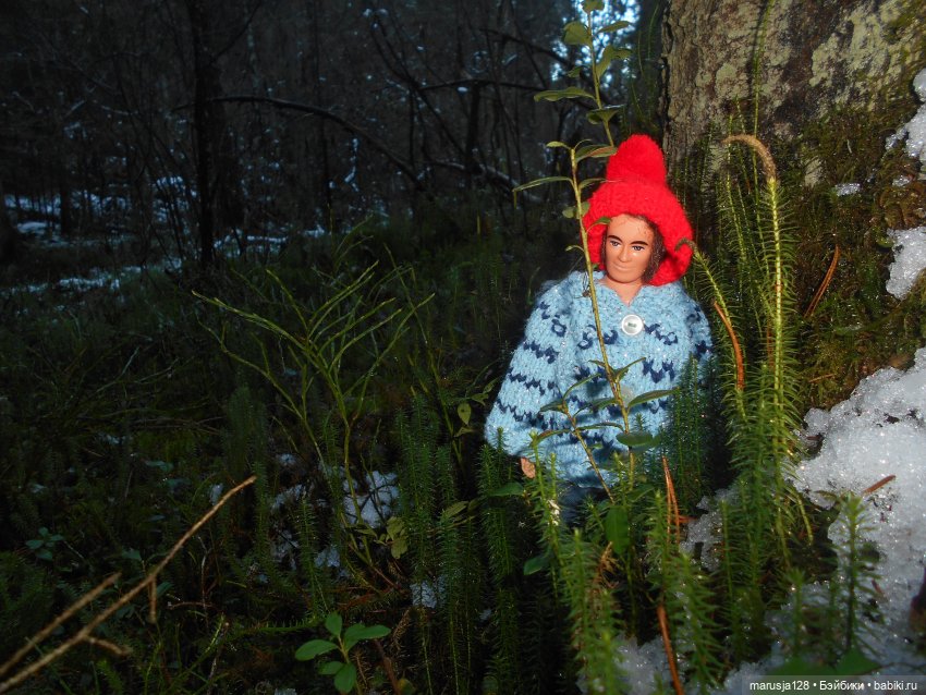 О грибочках и не только — Аналоги Барби и куклы 1/6: клоны 90