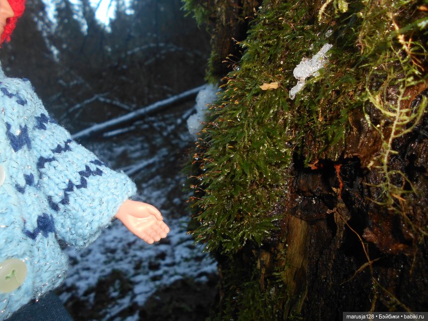 О грибочках и не только — Аналоги Барби и куклы 1/6: клоны 90