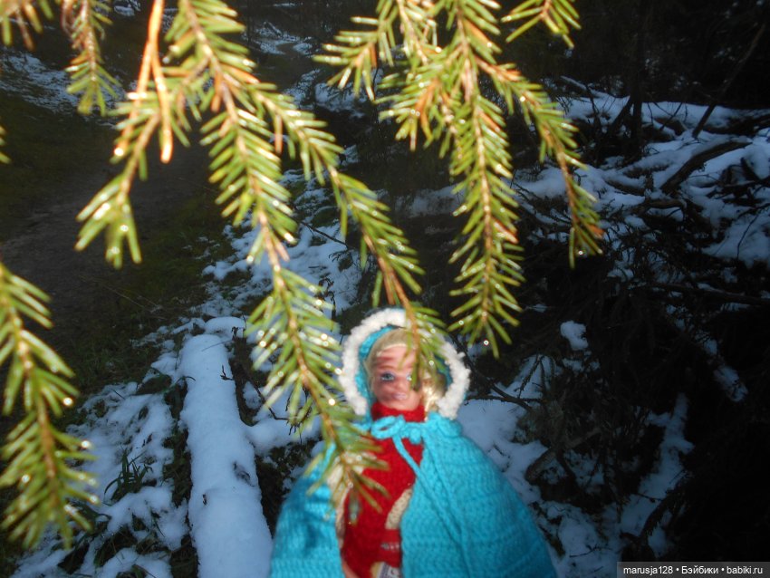 О грибочках и не только — Аналоги Барби и куклы 1/6: клоны 90 (фото 4)