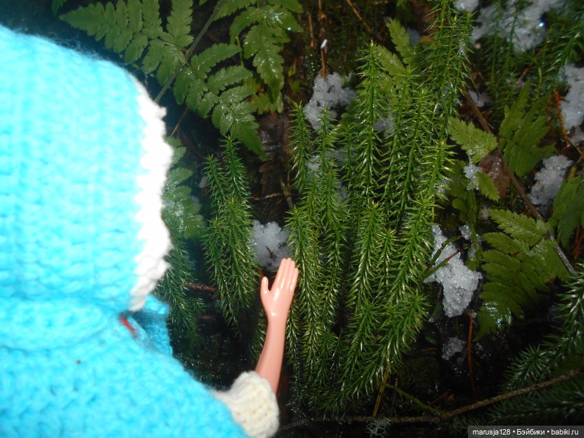 О грибочках и не только — Аналоги Барби и куклы 1/6: клоны 90