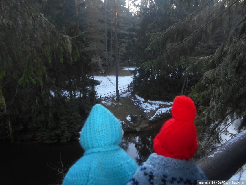 О грибочках и не только — Аналоги Барби и куклы 1/6: клоны 90 (фото 9)