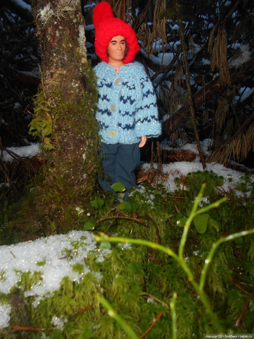 О грибочках и не только — Аналоги Барби и куклы 1/6: клоны 90 (фото 2)