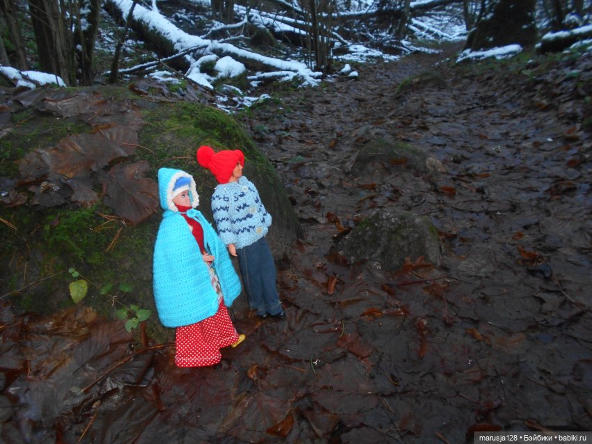 О грибочках и не только — Аналоги Барби и куклы 1/6: клоны 90