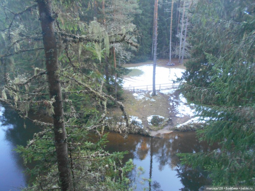 О грибочках и не только — Аналоги Барби и куклы 1/6: клоны 90 (фото 8)