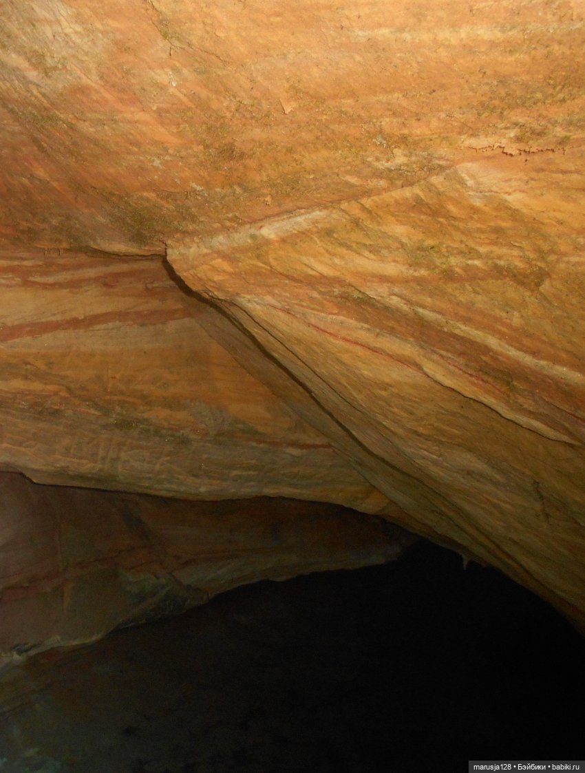 О грибочках и не только — Аналоги Барби и куклы 1/6: клоны 90 (фото 7)