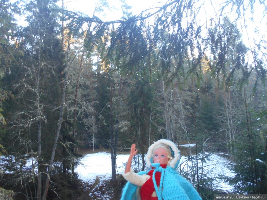 О грибочках и не только — Аналоги Барби и куклы 1/6: клоны 90