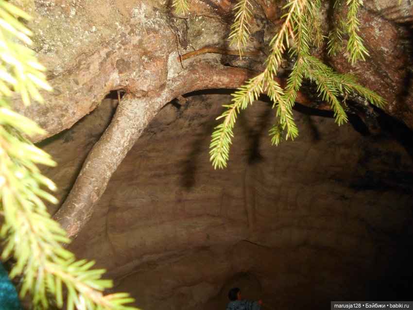 О грибочках и не только — Аналоги Барби и куклы 1/6: клоны 90