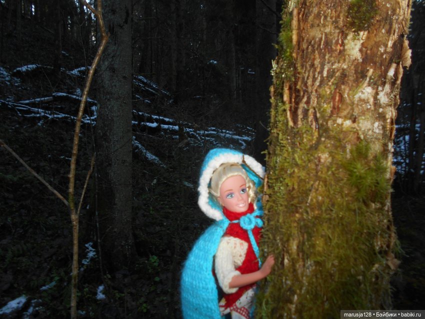 О грибочках и не только — Аналоги Барби и куклы 1/6: клоны 90