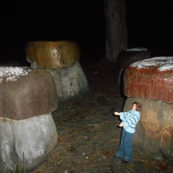 О грибочках и не только