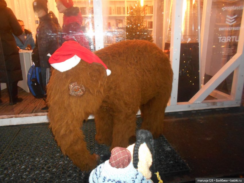 В Тарту — Туризм и путешествия: фотоотчеты из поездок (фото 8)