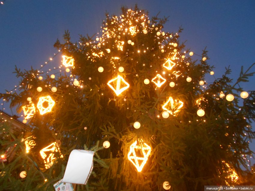 В Тарту — Туризм и путешествия: фотоотчеты из поездок (фото 2)