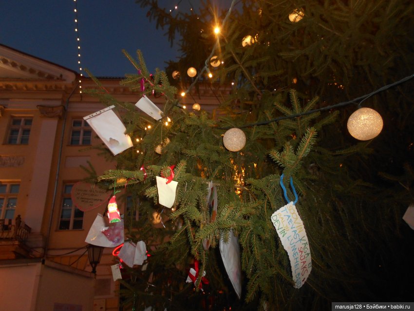 В Тарту — Туризм и путешествия: фотоотчеты из поездок (фото 6)