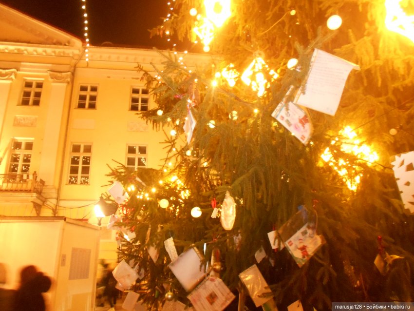 В Тарту — Туризм и путешествия: фотоотчеты из поездок (фото 3)