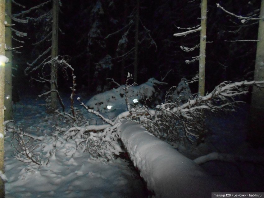 Беглецы | Бэйбики Беглецы — Аналоги Барби и куклы 1/6: клоны 90