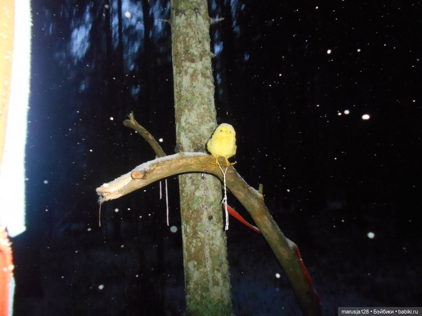 Беглецы | Бэйбики Беглецы — Аналоги Барби и куклы 1/6: клоны 90