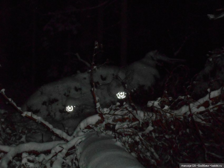 Беглецы | Бэйбики Беглецы — Аналоги Барби и куклы 1/6: клоны 90