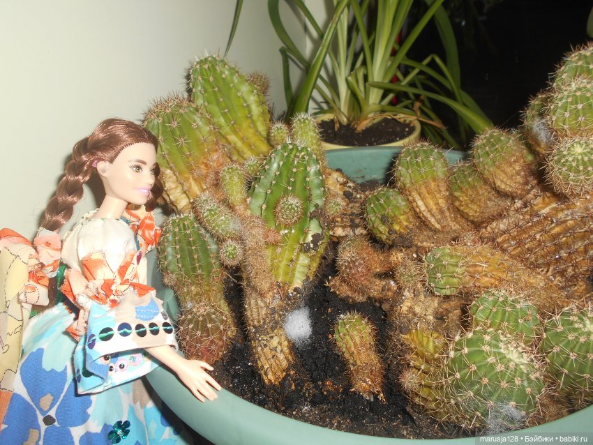 Беглецы | Бэйбики Беглецы — Аналоги Барби и куклы 1/6: клоны 90