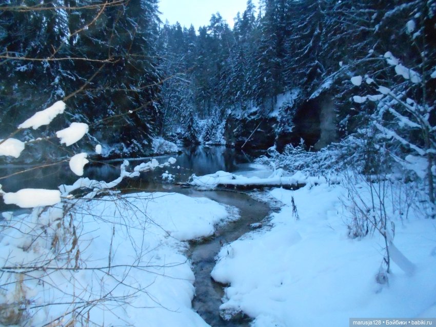 Нибин: остановка на зимовку (фото 2)