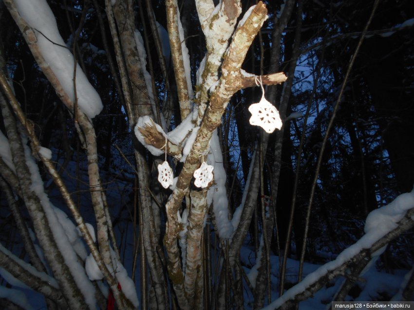 Нибин: остановка на зимовку (фото 5)