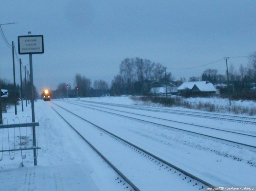 Нибин: остановка на зимовку (фото 7)