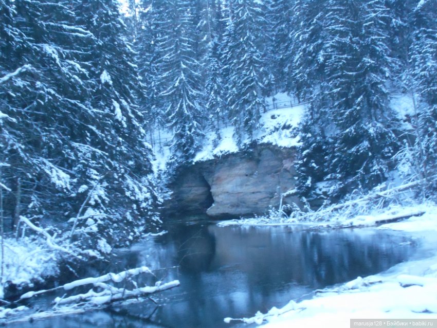 Нибин: остановка на зимовку (фото 3)