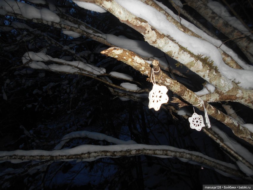 Нибин: остановка на зимовку (фото 4)