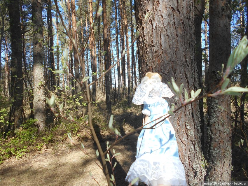 Золушка: в поисках принца(2)