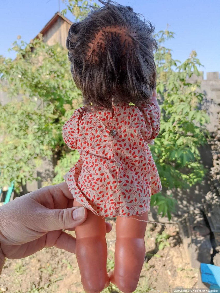 Новая жизнь малышки Бигги (фото 5)