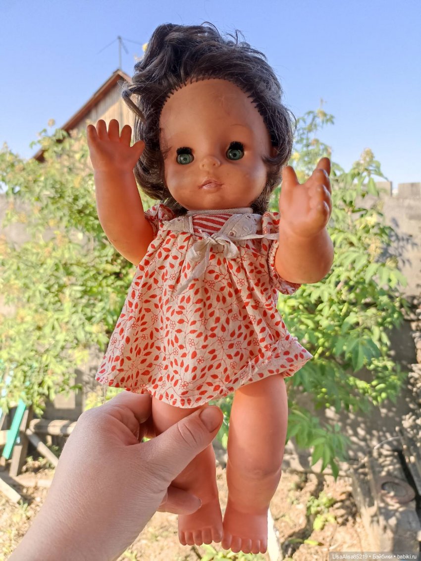 Новая жизнь малышки Бигги (фото 4)