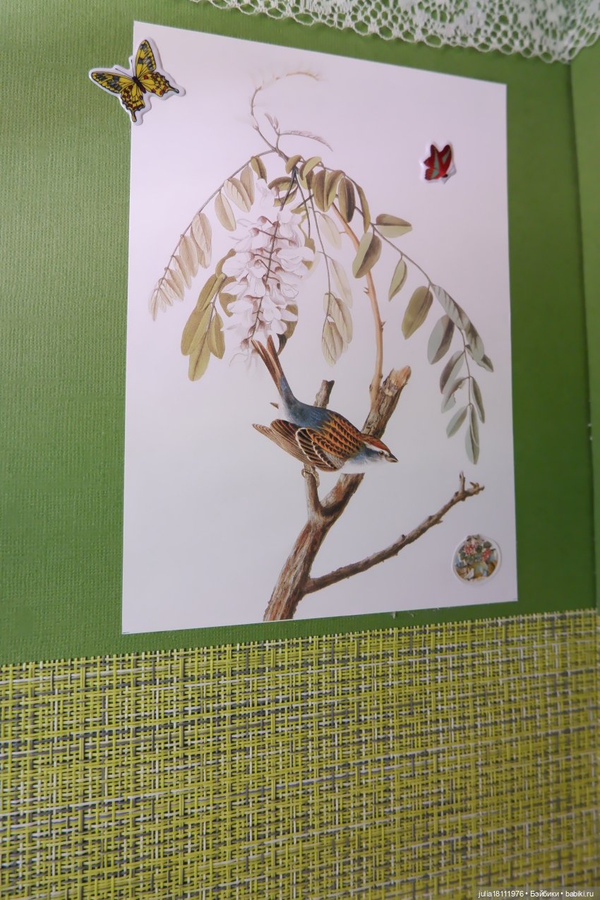 птичка на ветке