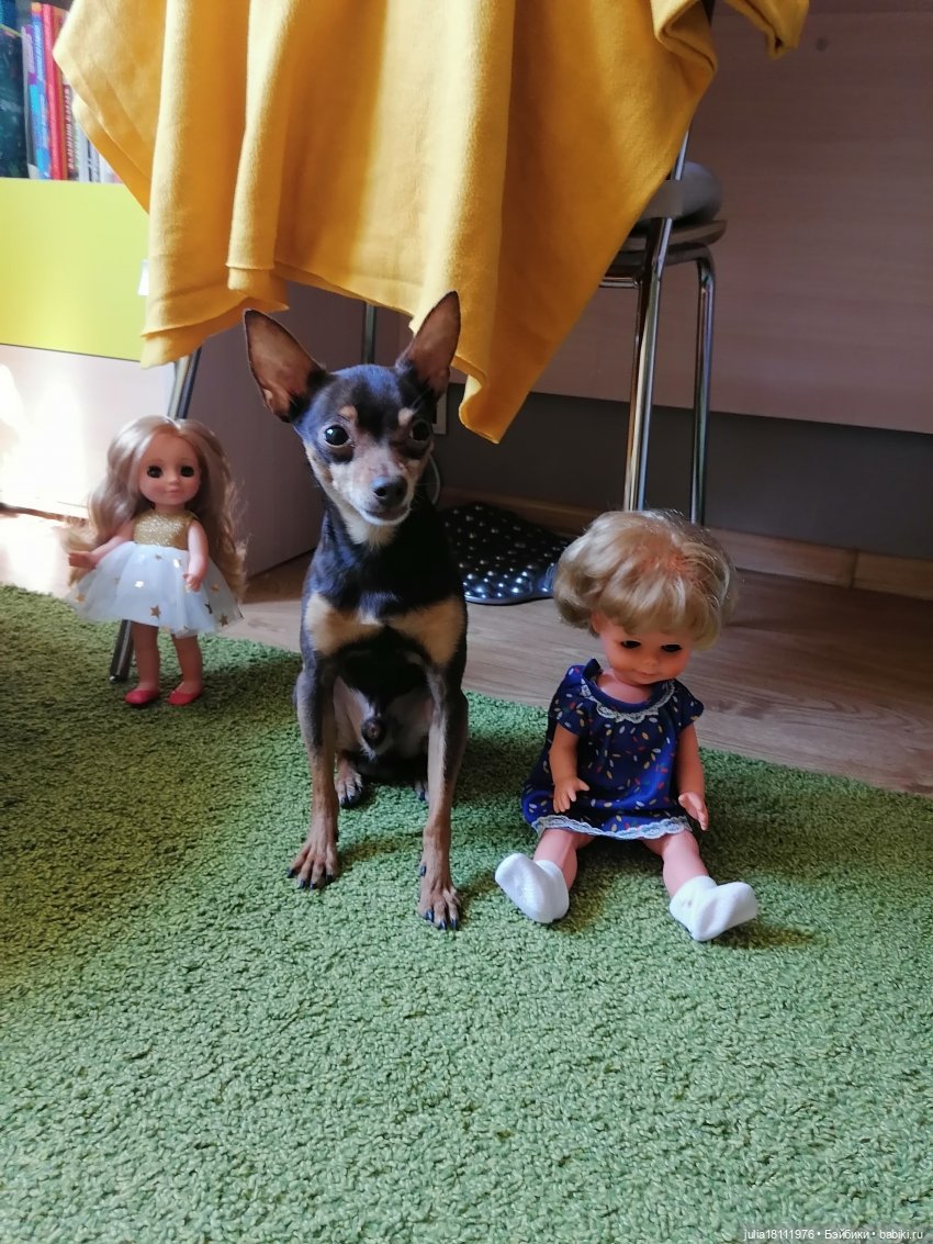 Дом кукол Лавандовый сон. Семейка ГДР – СССР - Россия - представление