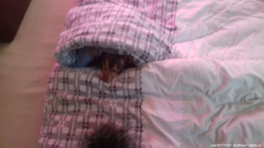 Дом кукол Лавандовый сон. Талисман моего сердца - Архипка (фото 5)