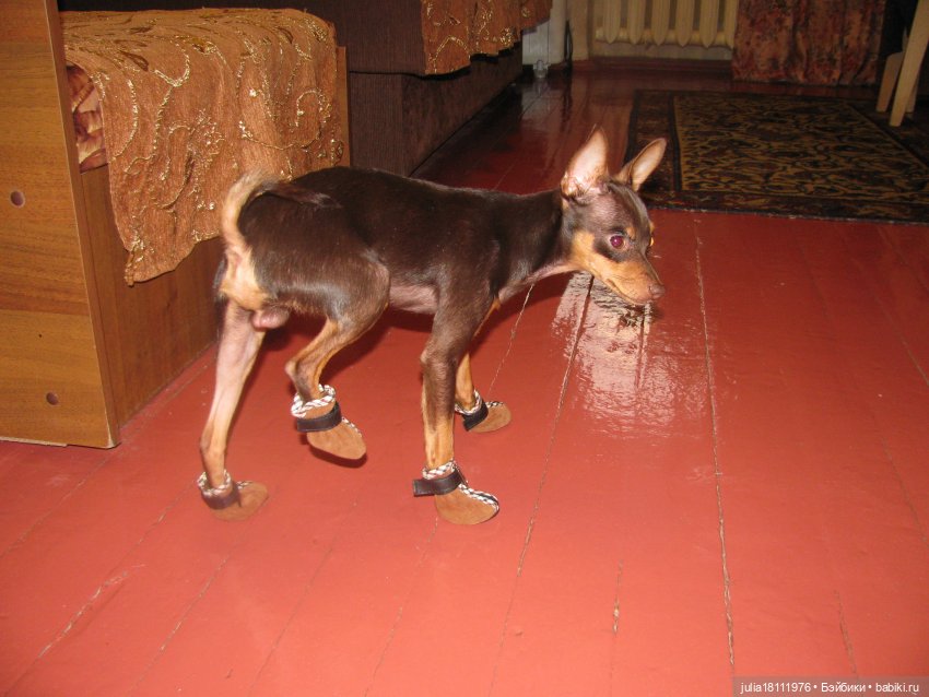 Дом кукол Лавандовый сон. Талисман моего сердца - Архипка (фото 2)