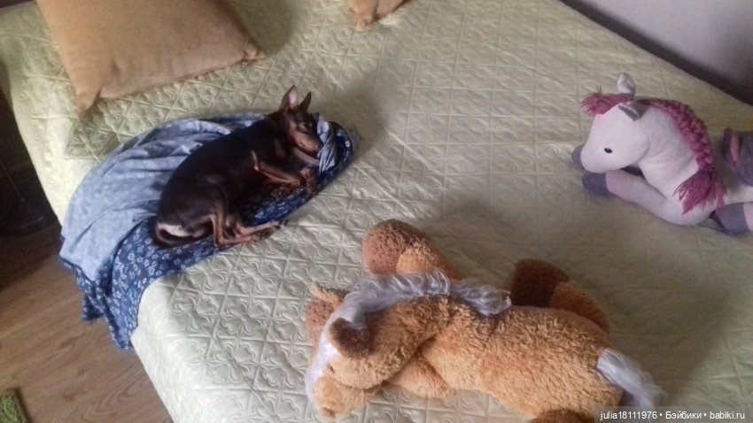 Дом кукол Лавандовый сон. Талисман моего сердца - Архипка (фото 6)