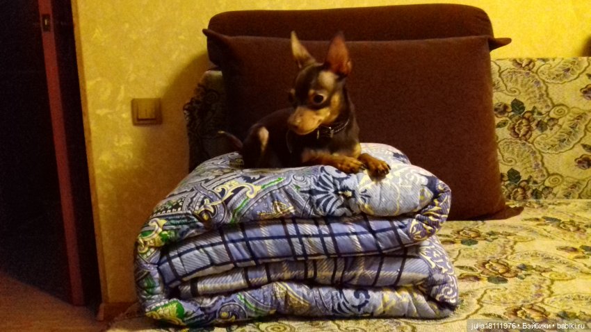 Дом кукол Лавандовый сон. Талисман моего сердца - Архипка (фото 4)