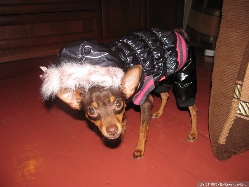 Дом кукол Лавандовый сон. Талисман моего сердца - Архипка (фото 3)