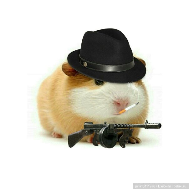 Дом кукол Лавандовый сон. Жаба и Хомяк 5 (фото 3)