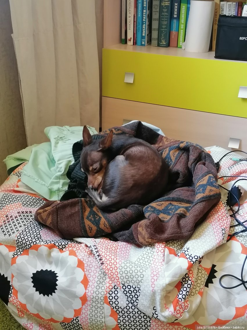 Дом кукол Лавандовый сон. Семейка Пупсиков и мини-куколок. Представление (часть 1)