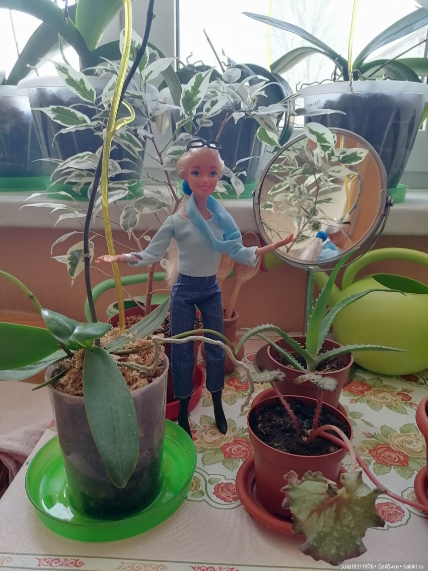 Дом кукол Лавандовый сон. Семейка Барбиобразные. Часть 1. Куклы "Почта России" (фото 8)