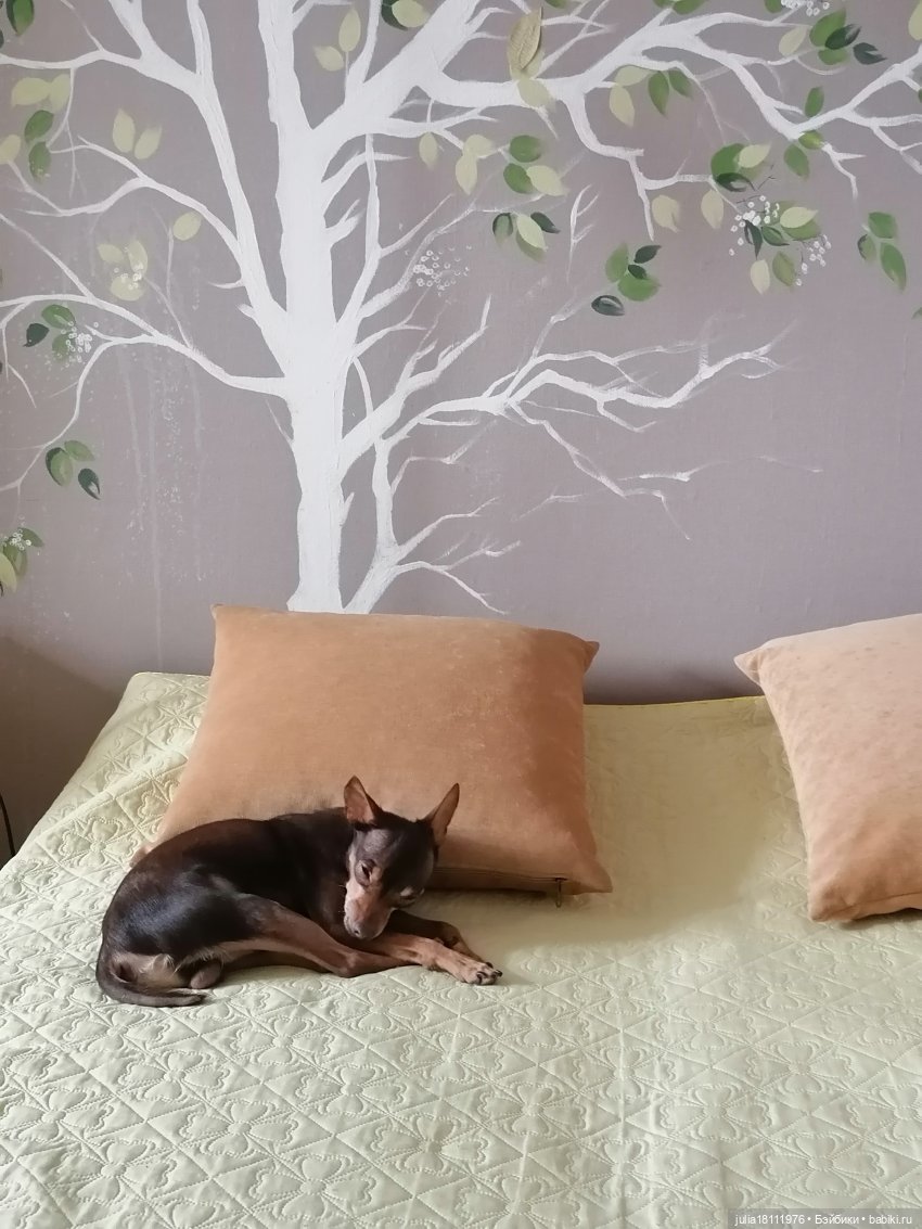 Дом кукол Лавандовый сон. Семейка Барбиобразные. Часть 1. Куклы "Почта России"