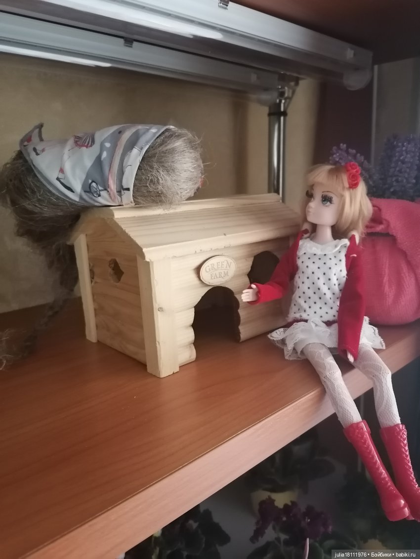 Дом кукол Лавандовый сон. Семейка Барбиобразные. Часть 3. Куклы "Соня Роуз" (фото 2)
