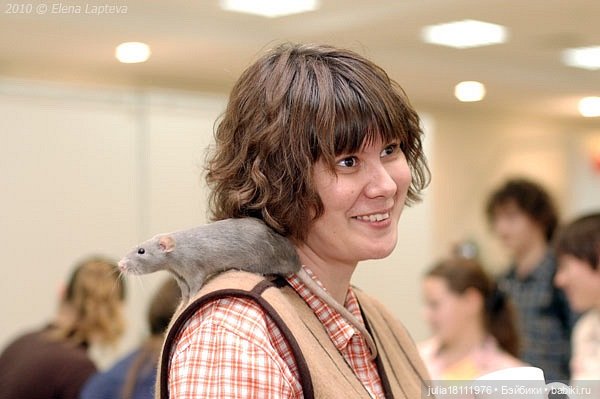 Дом кукол Лавандовый сон. Огни Казани - июнь 2021