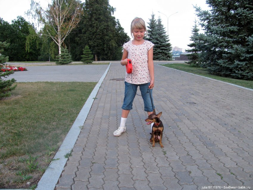 Дом кукол Лавандовый сон. Радость нашего дома