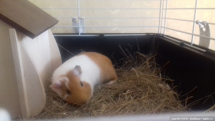 Дом кукол Лавандовый сон. Радость нашего дома (фото 4)