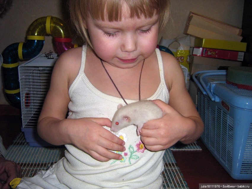 Дом кукол Лавандовый сон. Радость нашего дома